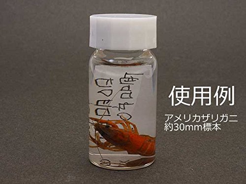 Amazon.co.jp: 液浸標本作成用ねじ口瓶 (30ml) : 産業・研究開発用品