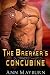 The Breaker's Concubine (The Concubine Chronicles Book 1)