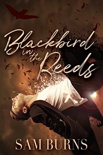 Télécharger Blackbird in the Reeds (The Rowan Harbor Cycle Book 1) (English Edition) PDF Ebook En Ligne