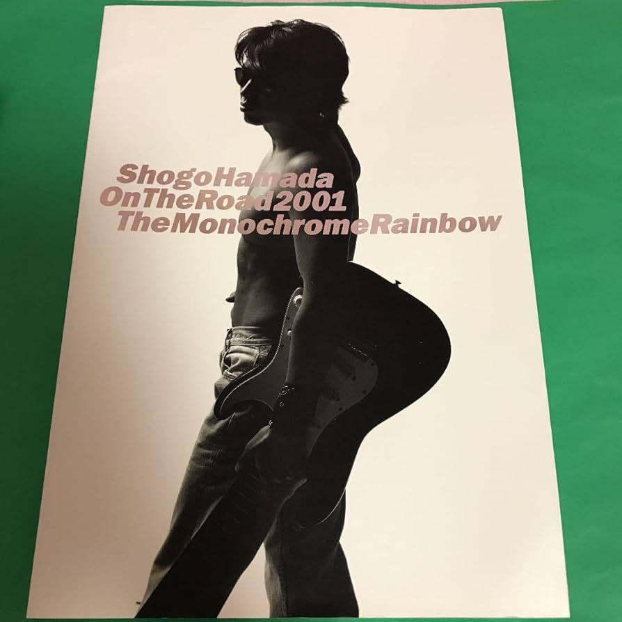 浜田省吾　ツアーパンフレット等セット Amazon.co.jp: 浜田省吾 ツアー パンフレット 2冊セット