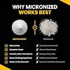 ForestLeaf Micronized Creatine Monohydrate Powder - Maximize Muscle Growth & Strength - Unflavored Creatine for Women and Men - 5G Per Serving - 100 Servings