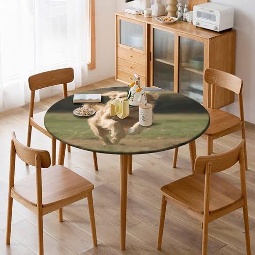 Nappe ronde ajustée Golden Retriever imperméable anti-vent - 8