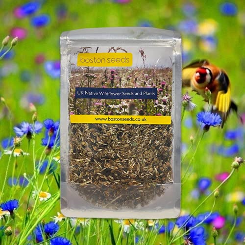 Wildflower Seeds British Wildflower Meadow Seeds for Wild Birds 80/20 (100 g)