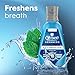 Crest Pro-Health Advanced Multi-Protection Mouthwash, Alcohol Free Mouthwash, Fresh Mint, 500 mL (16.9 Fl Oz), Pack of 4, Crest Mouthwash, Flouride Mouthwash