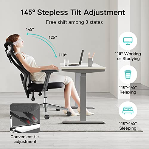 Hbada Ergonomic Office Chair With Adjustable Lumbar Support, Desk Chair For Big And Tall People With Adjustable Headrest, Swivel Computer Chair With Pu Wheels, Backrest Tilt And Lock Any Angle Black #TOP5