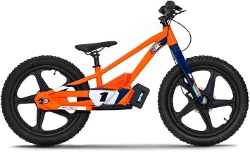 KTM Replica 20eDrive 2024