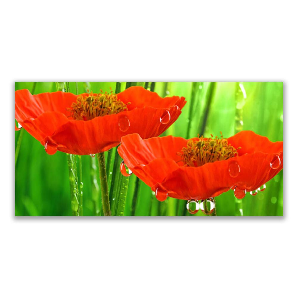 Tableau Verre Acrylique Coquelicots 140x70cm Poésie Florale pour Votre Mur
