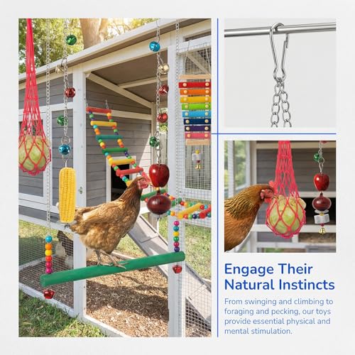 Image of Complete Chicken Toys Set of 9 - All-in-One Chicken Coop Accessories with Xylophone, Swing, Chicken Mirror, Ladder, Vegetable String Bag & Hanging Feeder Coop Toy for Happy Hens