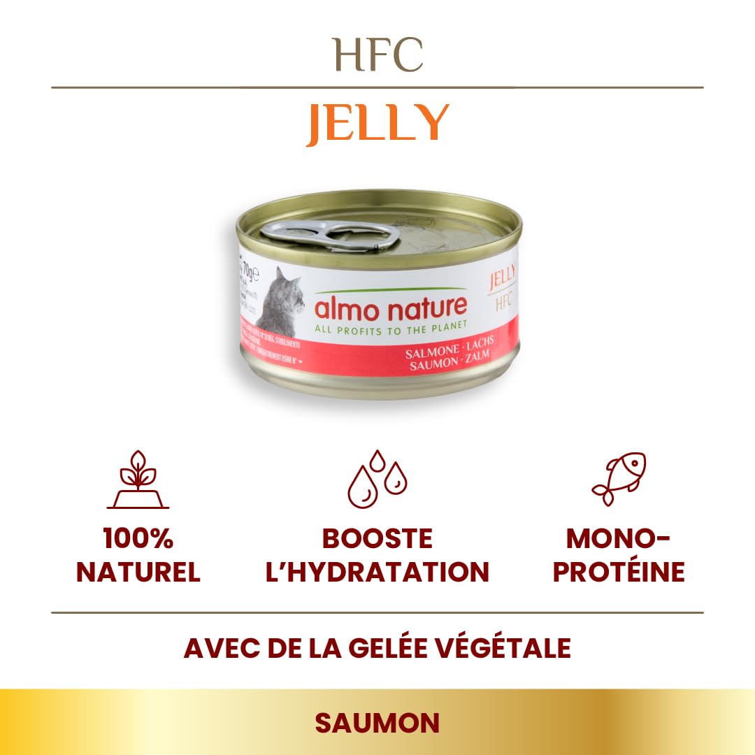 Almo Nature HFC Jelly - Nourriture Humide pour Chats - Saumon - 70g, Lot de 6