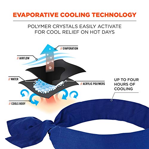 Image of Ergodyne Chill Its 6700 Cooling Bandana, Evaporative Polymer Crystals For Cooling Relief, Tie For Adjustable Fit, 6-Pack Blue