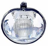 DEPO 334-2009N-AS -Nebelscheinwerfer für die Fahrerseite (dieses Produkt ist ein Aftermarket-Produkt, es wird nicht von der OE-Autofirma erstellt oder verkauft).