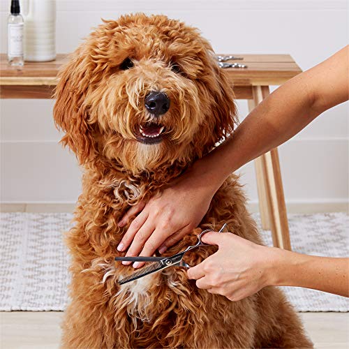 Amazon Basics Pet Grooming Set Brush Comb Scissors Nail Clippers - 3 In 1, Stainless Steel #TOP5