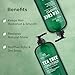 Botanic Hearth Tea Tree Shampoo And Conditioner Set | With 100% Pure Tea Tree Oil, For Itchy And Dry Scalp, Sulfate/Paraben Free | For Men And Women | 16 Fl Oz Each