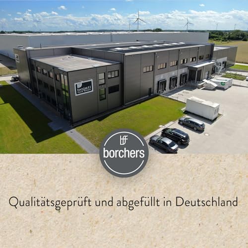 borchers Kurkuma Latte - Goldene Milch-Mischung | 80g | Bio- Qualität | von Natur aus vegan | DE-ÖKO-006