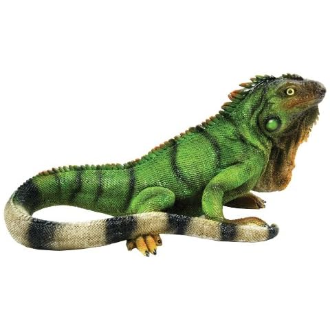 Iguana S Reptile Collection - Outdoor Lizard Figurine (80059) Cover