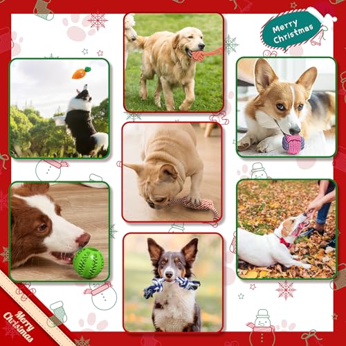 Kapetgo Hundespielzeug, Welpenspielzeug ab 8 Wochen, interaktives Seilspielzeug, unzerstörbar, robust, Kauspielzeug, Geschenk für kleine Hunde, 10 Stück (graues Kaninchen)