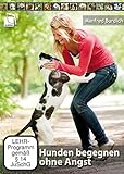  Hunden begegnen ohne Angst