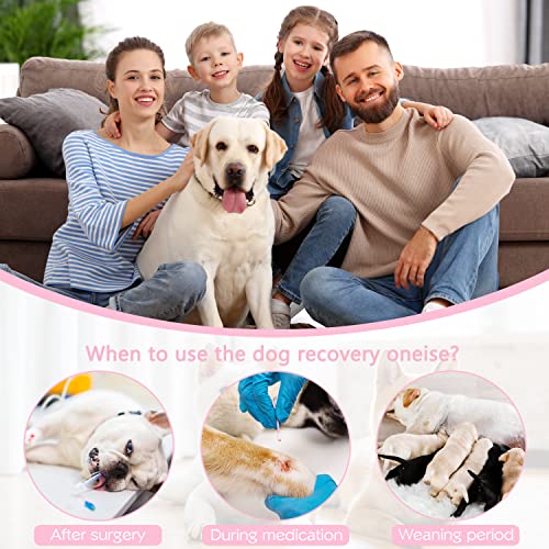 Etdane Dog Recovery Suit for Female Male Dog Onesie for Surgery Dog Surgical Suit After Spayed Dog Neuter Body Suits Fit Small Medium Dog with Pee Hole Pink Star/Medium