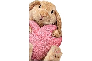 Bunny with Heart Valentine's Day Card