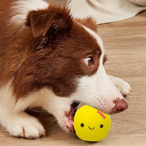 Eierbälle für Hunde, Spielzeug für Welpeneier | Quietschendes süßes Ei in Puppenform für Haustiere, Kauei aus Latex und Gummi - Vierfarbiger Hundeball mit quietschendem Ei für kleine und mittelgroße H