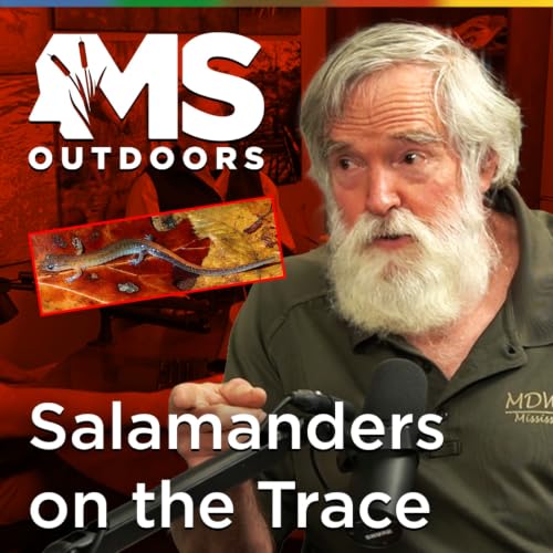 The Man on the Natchez Trace at Midnight: Zoologist Tom Mann & the Webster's Salamander