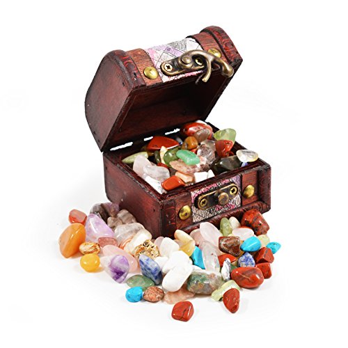 Preisvergleich Produktbild Fossil Gift Shop Piraten-Schatztruhe