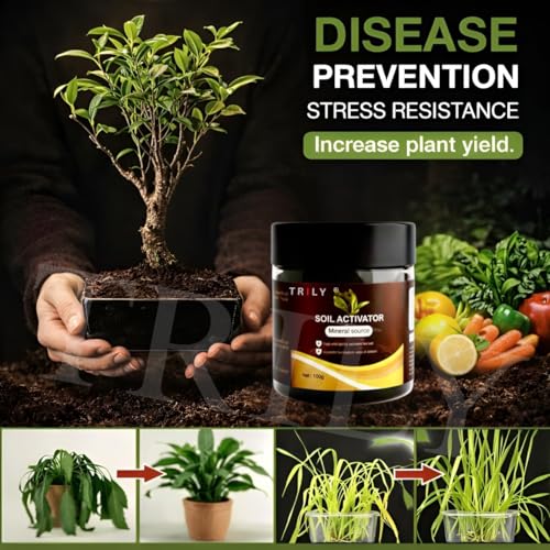 Image of Soil Activated Treasure Plant Growth Booster | Improves Soil Quality & Root Support | Suitable for Indoor & Outdoor Plants | for Pots, Gardens & Home Plants | Easy to Use 100g (PACK OF 2)
