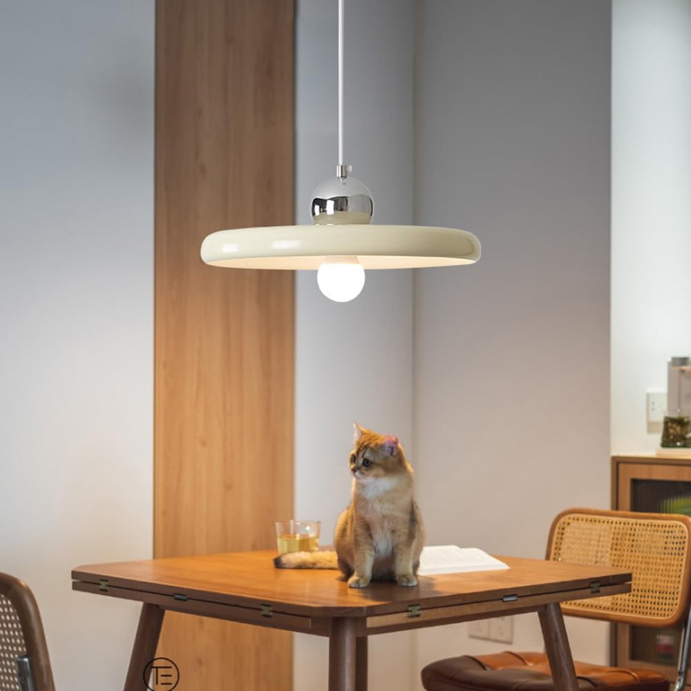 Lampa sufitowa z gwintem E27 i dekoracją pojedynczej głowicy, abażur z lakierowanego metalu, lampa wisząca w nowoczesnym stylu firmy Amen, podtynkowa lampa wisząca na wyspę kuchenną, balkon, do
