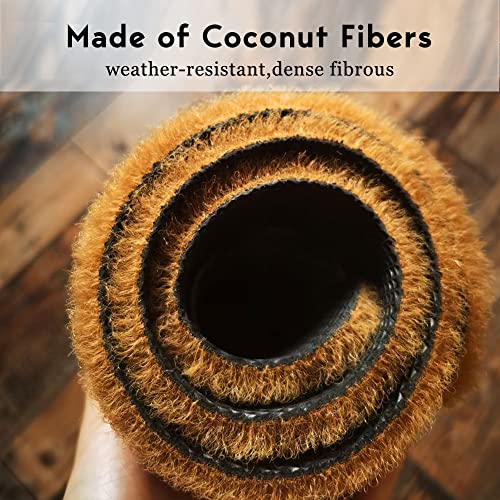 Funny Door Mat,Coir Outdoor Doormats With Heavy Duty Backing,There Is No Reason For You To Be Here,Welcome Floor Mat Entrance Front Rubber Mats Indoor Outdoor Mats Easy To Clean Spring Patio 30”X18” #TOP4