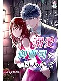 溺愛御曹司に囚われて (マカロン文庫)