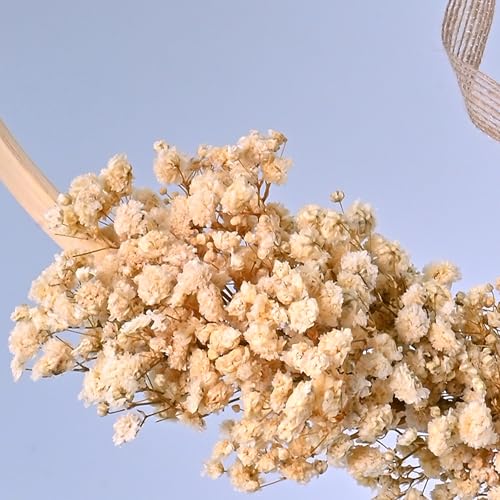 Image of Cortina Artificial Flowers for Decoration | Aesthetic Room Decor, Home Decor, Living Room Decor & Bedroom Decor | Artificial Flower Wall Decor | Great for Gifting - Beige - 35x2x35 CM