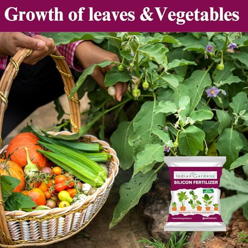 Image of Indian Gardens - Silicon Fertilizer for Plants | Plant Nutrient and Plant Food | Gardening (200 Grams)