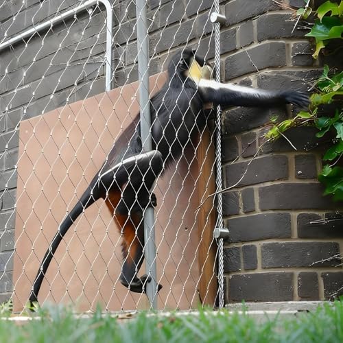 JHIAADEY XeXX`[[vC[bV,_ȃP[uC[[v X ^CvbV,@\Kiیlbg,304XeX|[vlbg,KiAoRj[AhƃhAA肷ȂǂɓKĂ܂(7*1.2m/23*3.9ft)