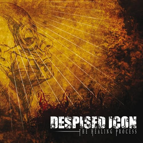 Despised Icon - The Healing Process