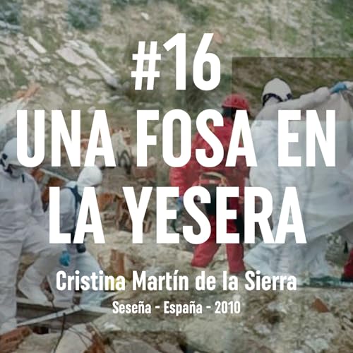 16. Una Fosa en la Yesera (Sese&ntilde;a, 2010)