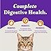 Halo Holistic Cage Free Chicken Cat Food, Grain Free Dry Cat Food, For Healthy Weight Support, Kibble for Indoor Cats, 3 lb Bag