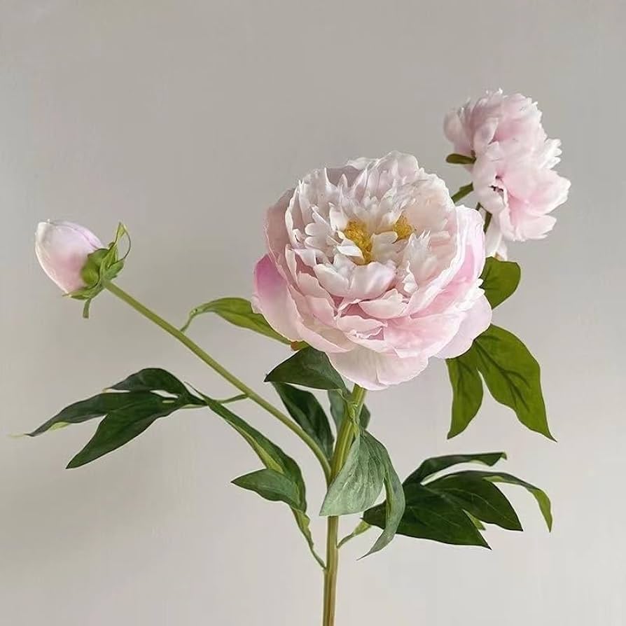 牡丹花 Amazon｜家の装飾用の模擬牡丹の花 - リアルな牡丹の花 3 個