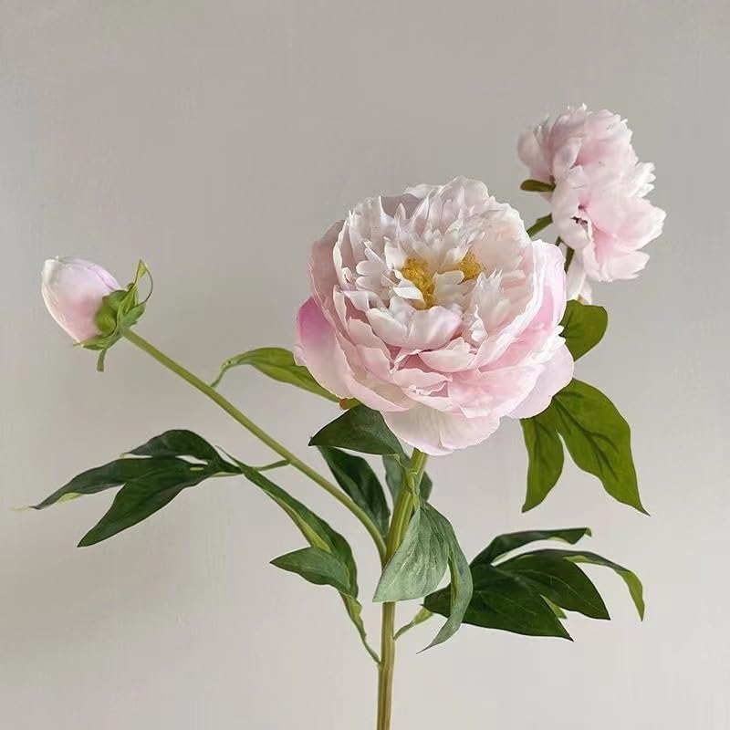 Amazon｜家の装飾用の模擬牡丹の花 - リアルな牡丹の花 3 個