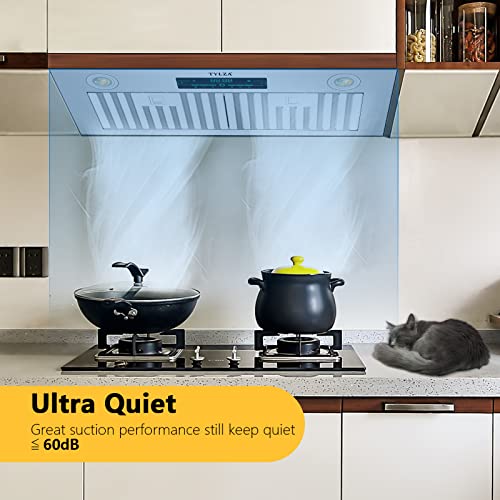 Range Hood Insert 30 inch, Ducted/Ductless 900 CFM Range Hood Insert with Charcoal Filter Included, Built-in Range Hoods Insert Stainless Steel With 4 Speed Gesture Sensing & 2 Pcs Adjustable Lights