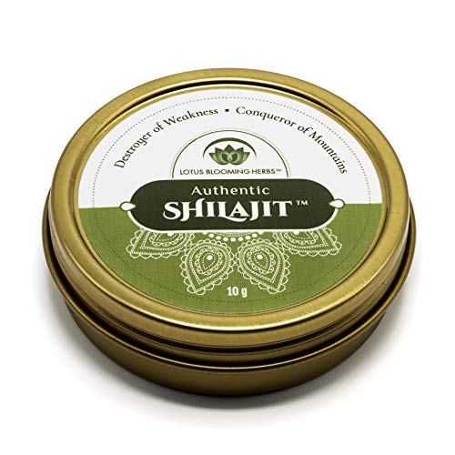 Authentic Shilajit - Genuine Himalayan Shilajit In It's Natural, Pure And Most Potent Resin Form. 10 Grams (1-2 Month Supply) #TOP6