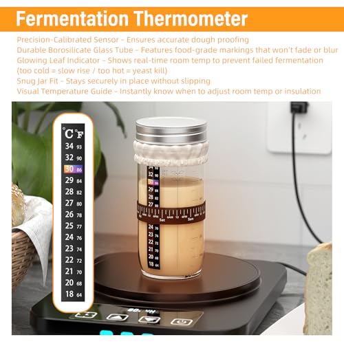 Kit de démarrage au levain contre les pains ratés : bocal 680g compatible four de chauffage