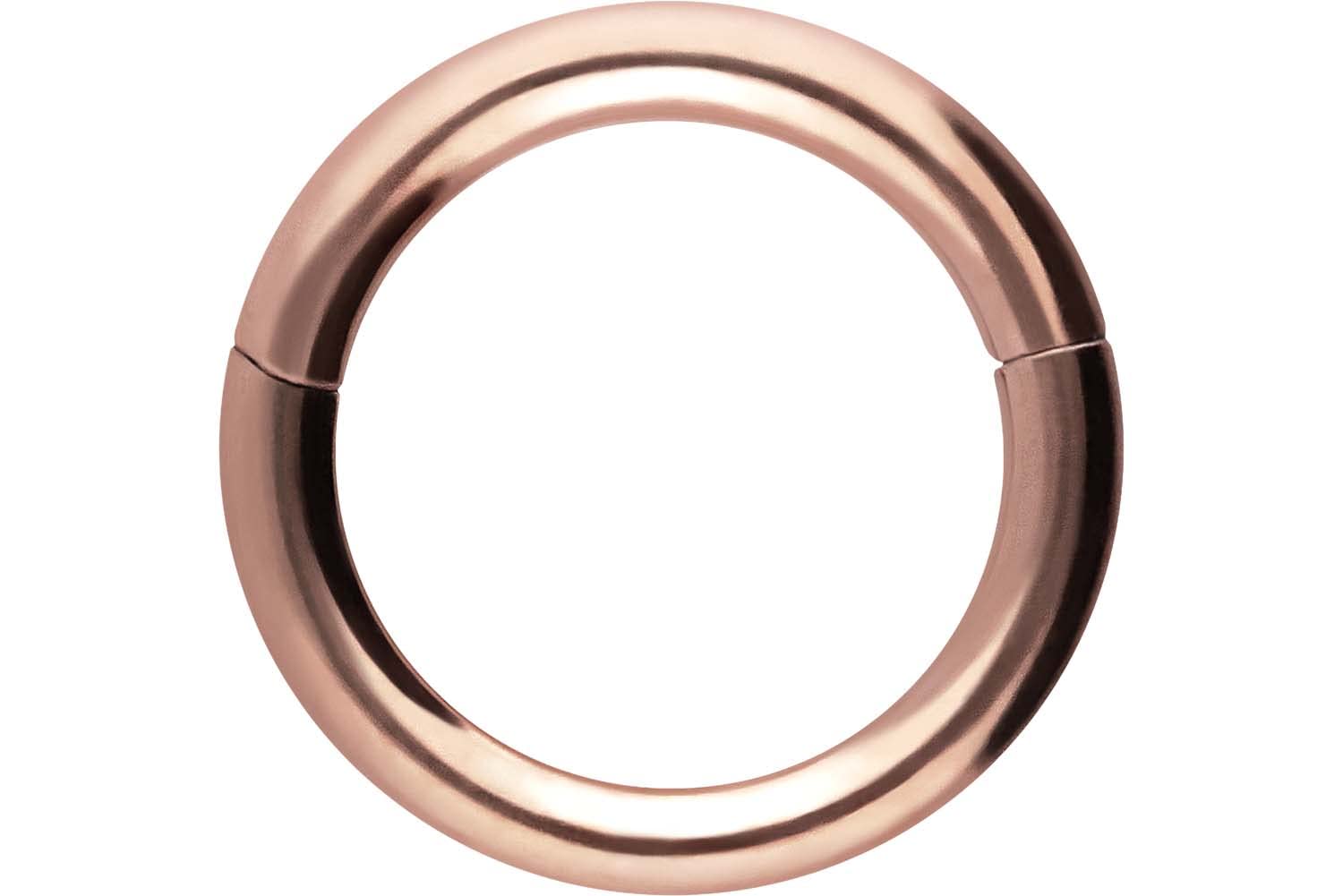 PIERCINGLINE Anillo segmento Clicker de acero quirúrgico – Piercing en oro, plata, rosa, negro o azul – para nariz, tabique, oreja, hélice o tragus — view 97