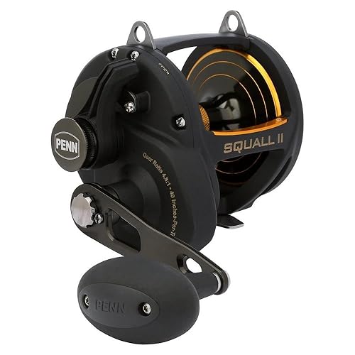 Penn Squall II Level Wind Conventional Fishing Reel