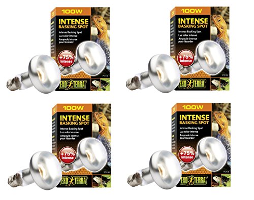 Exo Terra Sun-Glo Basking Infrared Spot Lamp, 100-Watt/120-Volt (4 Pack) - image 2