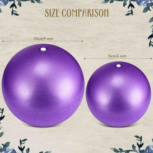 Terapia física y estiramiento con mini bolas de ejercicio de 9 pulgadas 2