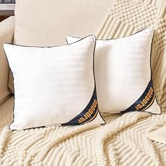 12x12 Indoor Pillow Inserts Set of 2 (Not Waterproof)