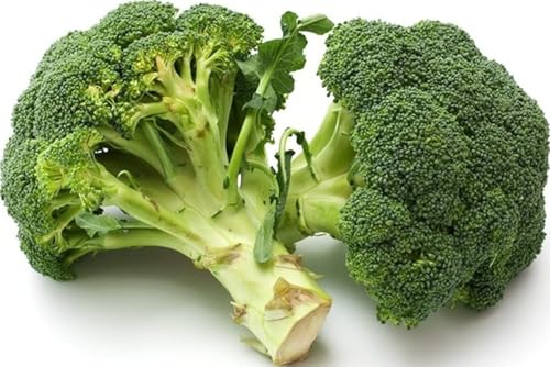 Organic Broccoli, 1 Head