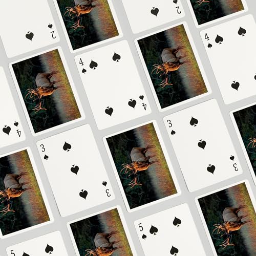 Lantern Press naipes de póker para adultos, 52 cartas miniatura 4