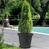 Sicignano Casalinghi Ingrosso Casalinghi Arredo Giardino Hotellerie B0DX6ZZPJP lato 4