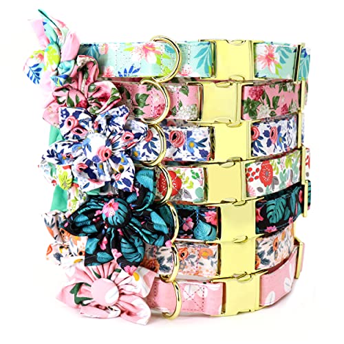 Beirui Cute Girl Dog Collars with Vibrant Floral Patterns, Female Dog Collar with Flower for Walking, Durable Adjustable Collar for Small Medium Large Dogs(XS, Pink-5) by Beirui - Used condition - Image 5